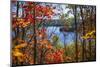 Fall Forest Framing Scenic Autumn Lake View from Lookout Trail in Algonquin Park, Ontario, Canada.-elenathewise-Mounted Photographic Print