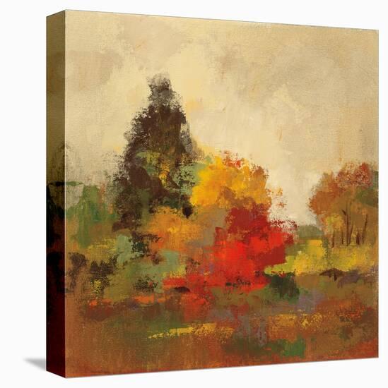 Fall Forest I-Silvia Vassileva-Stretched Canvas