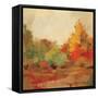 Fall Forest II-Silvia Vassileva-Framed Stretched Canvas