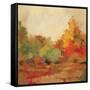 Fall Forest II-Silvia Vassileva-Framed Stretched Canvas