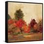 Fall Forest III-null-Framed Stretched Canvas