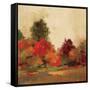 Fall Forest III-null-Framed Stretched Canvas