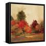 Fall Forest III-null-Framed Stretched Canvas