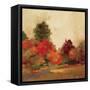 Fall Forest III-null-Framed Stretched Canvas