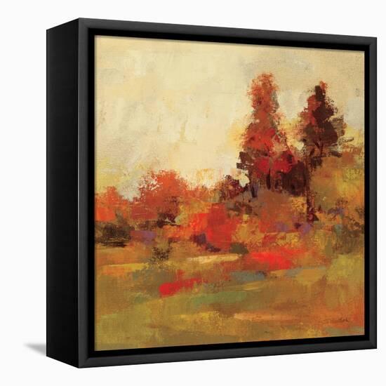 Fall Forest IV-null-Framed Stretched Canvas