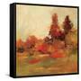 Fall Forest IV-null-Framed Stretched Canvas