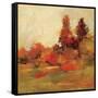 Fall Forest IV-null-Framed Stretched Canvas