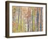 Fall Forest - Luminous-Midori Greyson-Framed Giclee Print