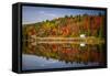 Fall Forest with Colorful Autumn Leaves and Highway 60 Reflecting in Lake of Two Rivers.  Algonquin-elenathewise-Framed Stretched Canvas