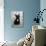 Fall, French Bulldog, Pup-Thomas Fall-Photographic Print displayed on a wall