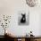 Fall, French Bulldog, Pup-Thomas Fall-Photographic Print displayed on a wall