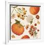 Fall Garden Step 01A-Katie Pertiet-Framed Art Print