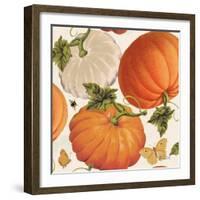 Fall Garden Step 03A-Katie Pertiet-Framed Art Print