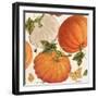 Fall Garden Step 03A-Katie Pertiet-Framed Art Print