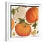 Fall Garden Step 03A-Katie Pertiet-Framed Art Print