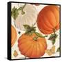 Fall Garden Step 03A-Katie Pertiet-Framed Stretched Canvas