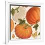 Fall Garden Step 03A-Katie Pertiet-Framed Art Print