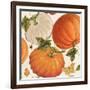 Fall Garden Step 03A-Katie Pertiet-Framed Art Print