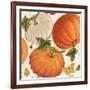 Fall Garden Step 03A-Katie Pertiet-Framed Art Print