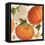 Fall Garden Step 03A-Katie Pertiet-Framed Stretched Canvas