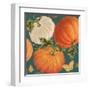 Fall Garden Step 03B-Katie Pertiet-Framed Art Print