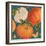 Fall Garden Step 03B-Katie Pertiet-Framed Art Print