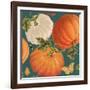 Fall Garden Step 03B-Katie Pertiet-Framed Art Print