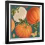 Fall Garden Step 03B-Katie Pertiet-Framed Art Print