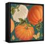 Fall Garden Step 03B-Katie Pertiet-Framed Stretched Canvas