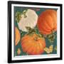 Fall Garden Step 03B-Katie Pertiet-Framed Art Print