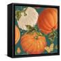Fall Garden Step 03B-Katie Pertiet-Framed Stretched Canvas