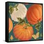 Fall Garden Step 03B-Katie Pertiet-Framed Stretched Canvas