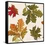 Fall Garden Step 04A-Katie Pertiet-Framed Stretched Canvas