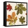 Fall Garden Step 04A-Katie Pertiet-Framed Stretched Canvas