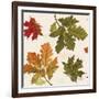 Fall Garden Step 04A-Katie Pertiet-Framed Art Print