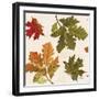 Fall Garden Step 04A-Katie Pertiet-Framed Art Print