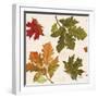 Fall Garden Step 04A-Katie Pertiet-Framed Art Print