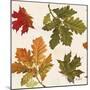 Fall Garden Step 04A-Katie Pertiet-Mounted Art Print