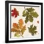 Fall Garden Step 04A-Katie Pertiet-Framed Art Print