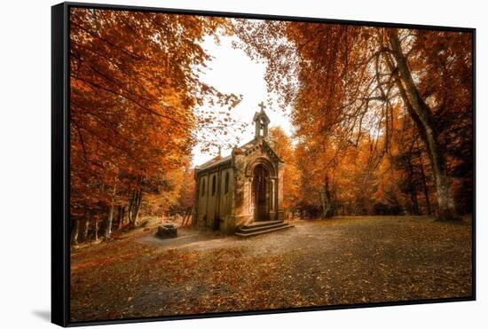 Fall Gathering-Philippe Sainte-Laudy-Framed Stretched Canvas