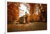 Fall Gathering-Philippe Sainte-Laudy-Framed Photographic Print