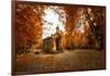 Fall Gathering-Philippe Sainte-Laudy-Framed Photographic Print