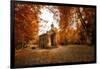 Fall Gathering-Philippe Sainte-Laudy-Framed Photographic Print