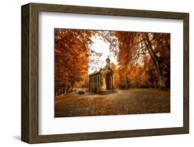 Fall Gathering-Philippe Sainte-Laudy-Framed Photographic Print