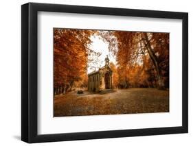 Fall Gathering-Philippe Sainte-Laudy-Framed Photographic Print