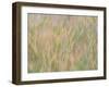 Fall grasses on 10K Trail, Sandia mountains, New Mexico-Maresa Pryor-Luzier-Framed Photographic Print