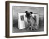 Fall, Griffon, with Book-Thomas Fall-Framed Photographic Print