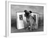 Fall, Griffon, with Book-Thomas Fall-Framed Photographic Print