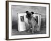 Fall, Griffon, with Book-Thomas Fall-Framed Photographic Print