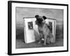 Fall, Griffon, with Book-Thomas Fall-Framed Photographic Print